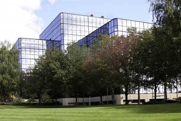 Commercial Tree Trimming in Salt Lake City