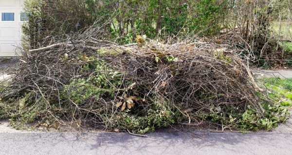 Limb Disposal