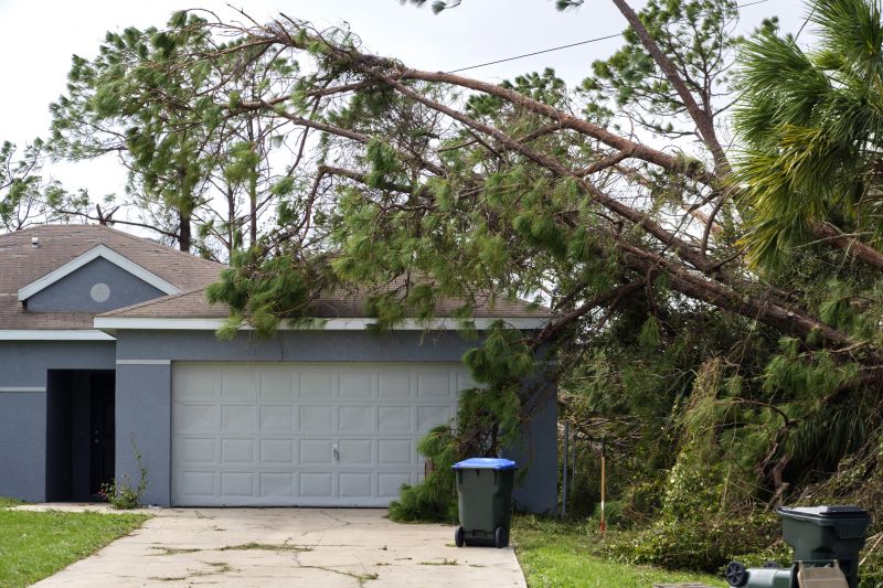 Fallen Tree on Roof