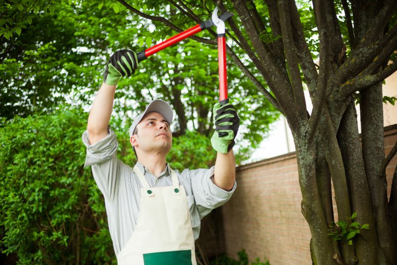 Tree Pruning Equipment