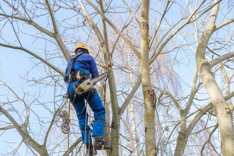 Winter Tree Preparation